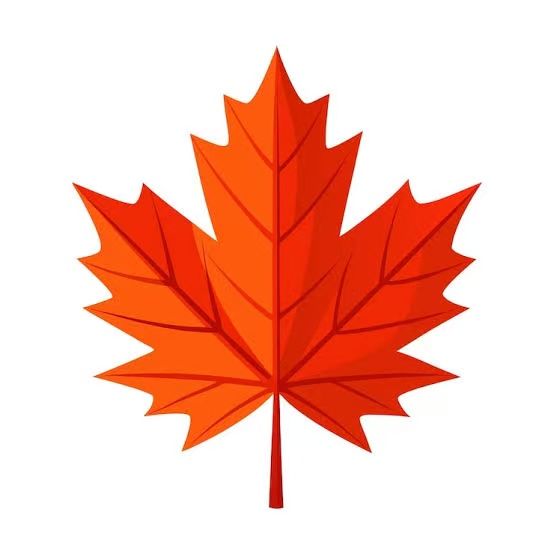 Maple Readers logo